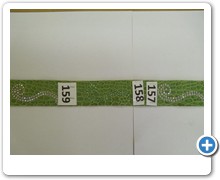 collection 2 rettili 157-158-159